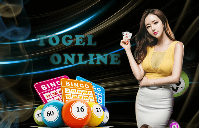 Diskusi Ringan untuk Pemula di Forum Togel Harian